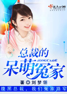 总裁的呆萌冤家